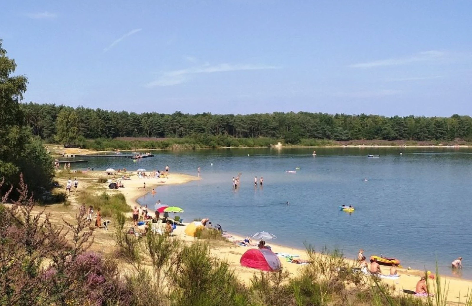 69350353 2442972695770607 5721655414827778048 o 68a4961611ea5