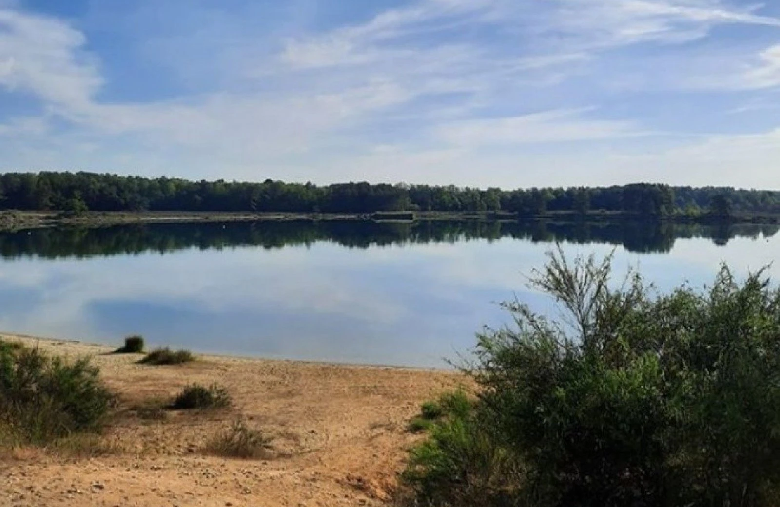 78552798 3107125749355295 9187280241255514112 n