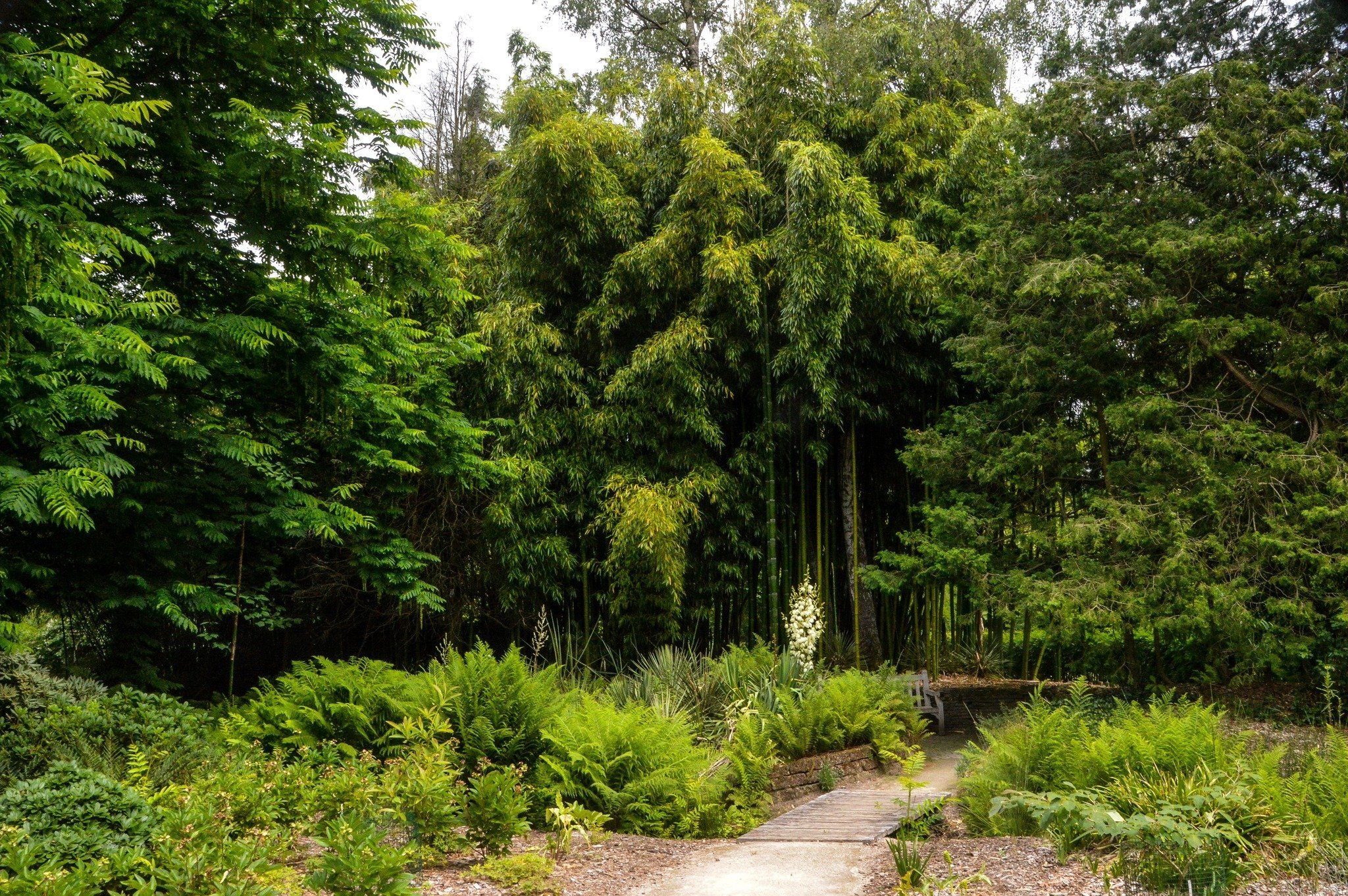 Arboretum du domaine de Bokrijk