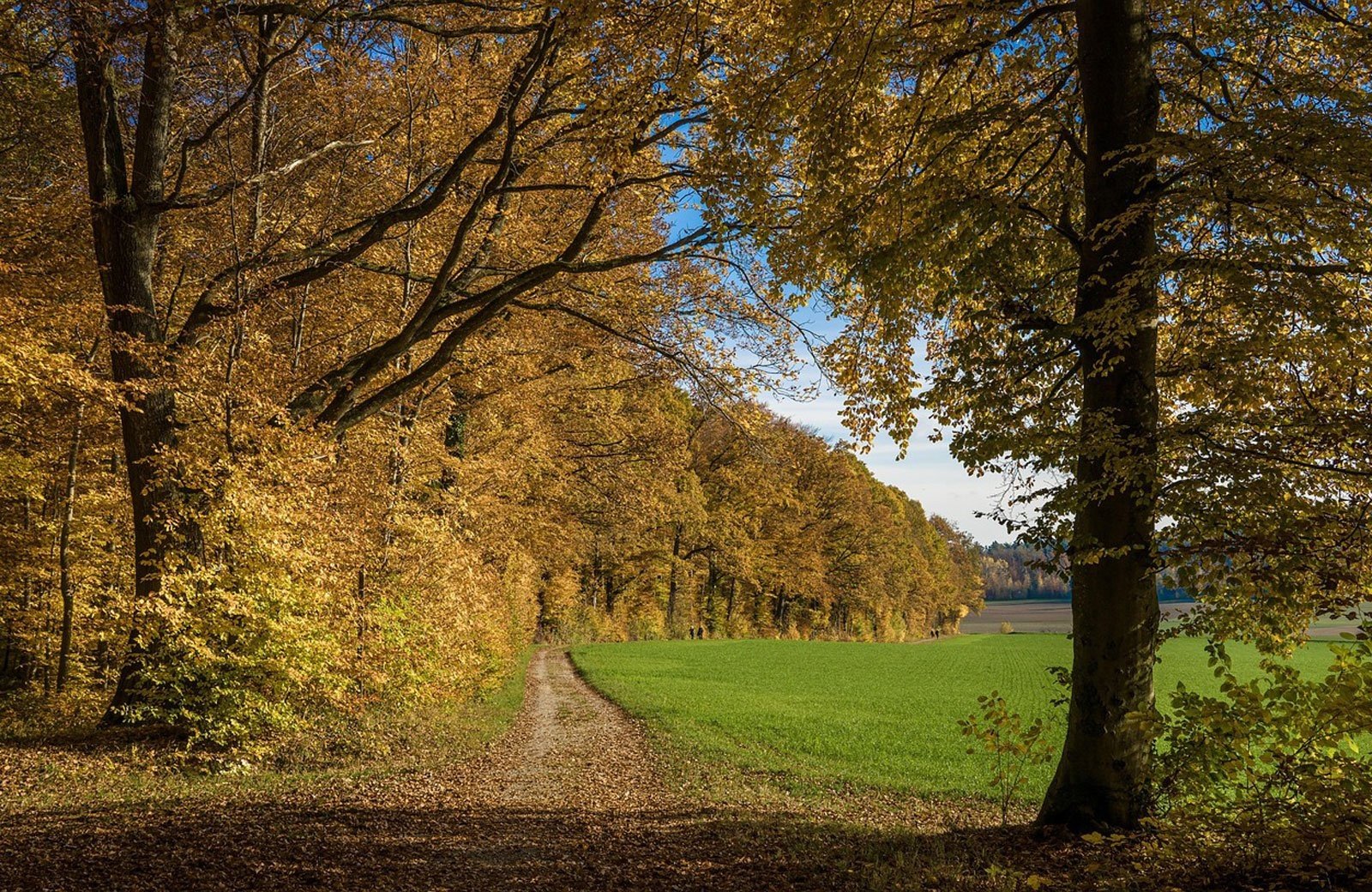 Sentiers de randonnée