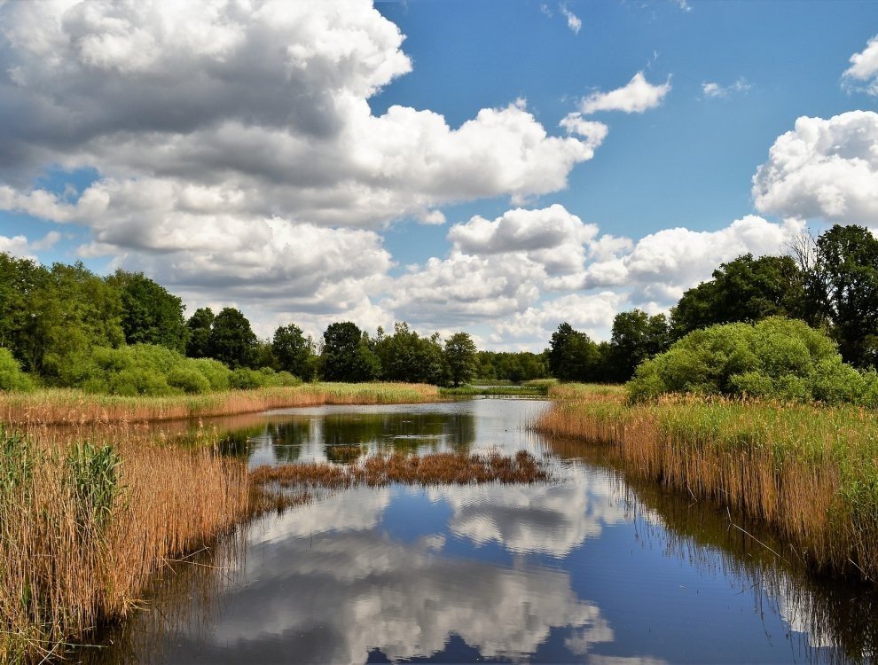 Réserve naturelle De Maten