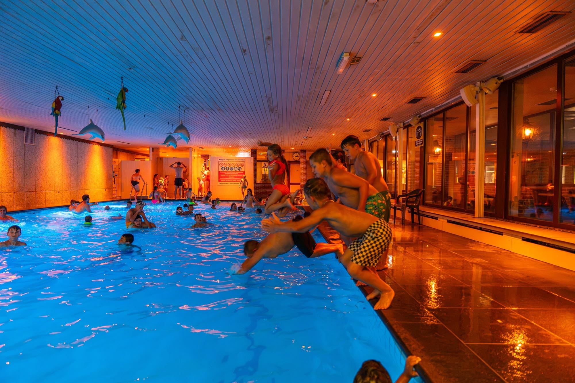 Piscine intérieure