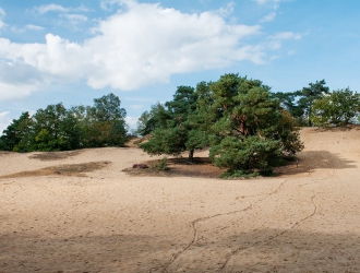 Ceinture de dunes
