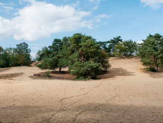 Ceinture de dunes